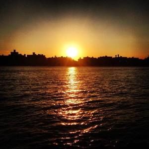 Meet your Posher, Terry